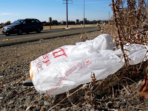 Senado de California vota a favor de proyectos de ley para prohibir bolsas de plástico reciclables - La Opinión