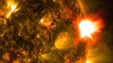 Cannibal Coronal Mass Ejection on Collision Course with Earth