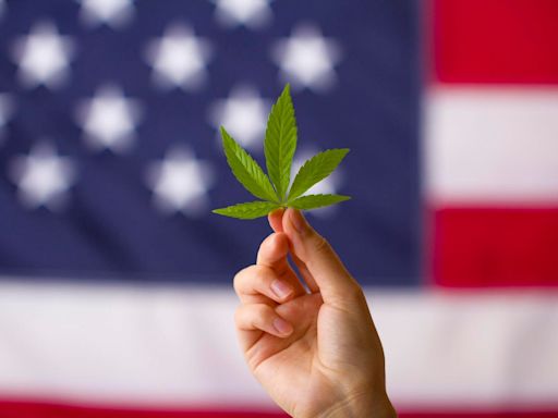 DEA Agrees To Reclassify Marijuana Under Federal Law, AP Reports