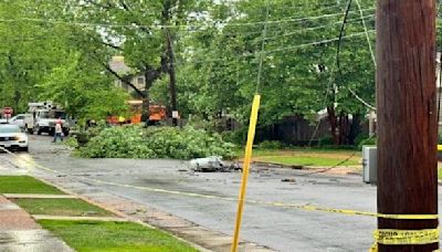 UPDATE: Storm damage, fallen trees blocking roads in multiple North Alabama counties