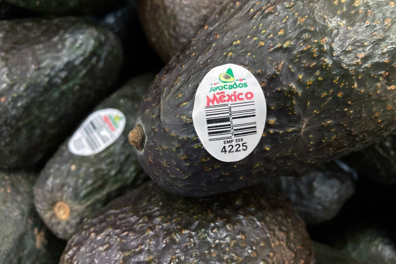 Assault on US avocado inspectors in Mexican state led to suspension of inspections