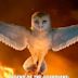 Legend of the Guardians: The Owls of Ga'Hoole