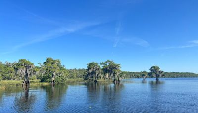 Who put $400 million into Florida budget for new reservoir? No one will say