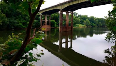 ‘Conservation success.’ GA biologist says gators in Chattahoochee River shouldn’t be feared