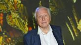 David Attenborough finds the AI version of himself 'personally distressing'