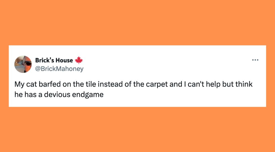 22 Of The Funniest Tweets About Cats And Dogs This Week (Aug. 31-Sept. 6)