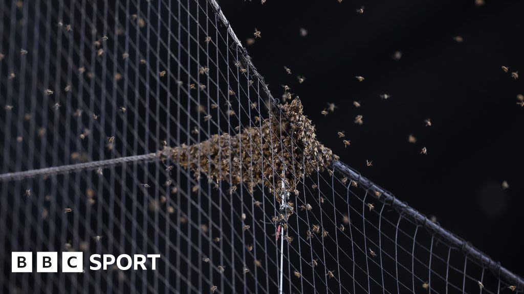 Bee swarm halts Arizona Diamondbacks v LA Dodgers MLB match