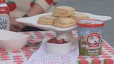 Roanoke Community School hosting 44th Annual Strawberry Festival