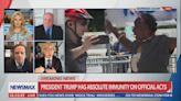 Newsmax guest: Supreme Court immunity decision reflects that the president "sort of is the king"