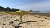 Welcome to the family: Scientists identify new dinosaur species with spinosaurus