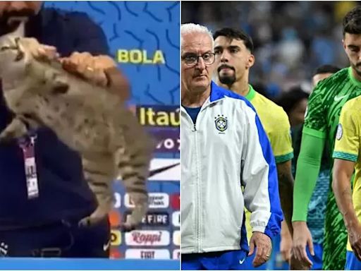 足球週報》巴西遭到「貓的詛咒」 兩年來已吞下5大慘案 SLFC從落後2球追平PK大戰獲勝晉4強