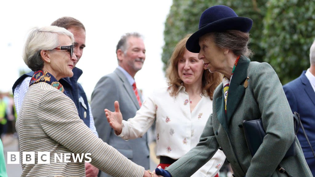 Princess Anne returns to public duties after suspected injury from horse
