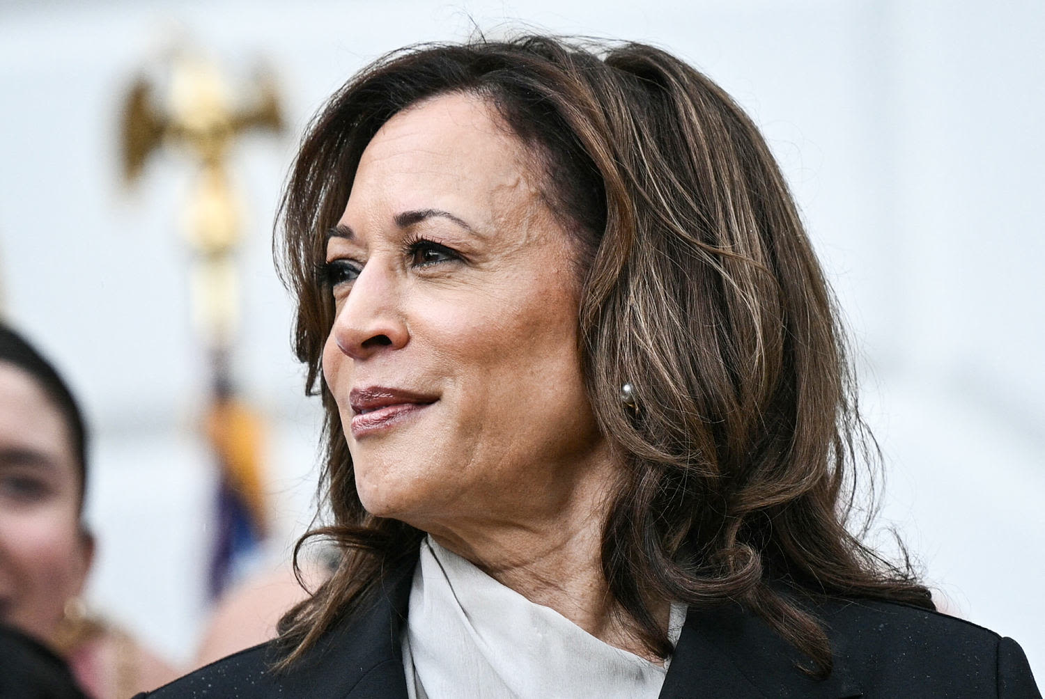Democrats rally around Harris as her campaign takes shape: From the Politics Desk