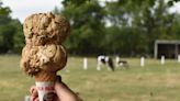 Get the scoop on ice cream must-stops in Greater Fall River