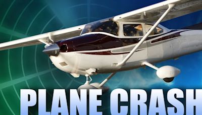 Napoleon Township resident dies in late night plane crash