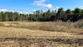 69 acre natural area in Princeton avoids development thanks to Mass Audubon and DCR