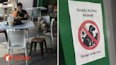 Woman eats with 2 dogs at table in Bukit Panjang hawker centre despite 'no pets allowed' sign