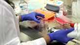 Maharashtra Government To Bring New Law To Crack Down On Fake Pathology Labs