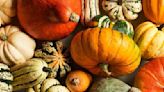 Once and for All: Is a Pumpkin a Fruit Or a Vegetable?