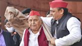 The resurgence of the Samajwadi Party