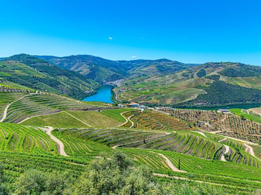 Forget Napa Valley and Tuscany. Here are 7 underrated wine regions I love visiting as a sommelier.