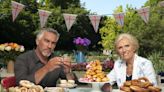 Company offers to pay someone to watch The Great British Bake Off and eat cakes