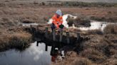 £1 million project launched to restore rare peatland habitats