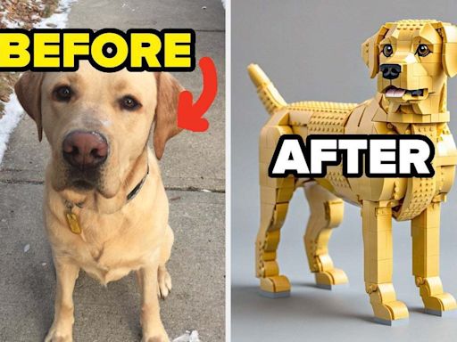 I Made A LEGO Set Generator That Turns YOUR Pet Into LEGO And The Results Are Shockingly Good, TBH — You Can Make Your Own Too