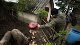 Photos: Sustainable living gives Hungarian families hope for the future