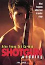 Shotgun Wedding (1993 film)