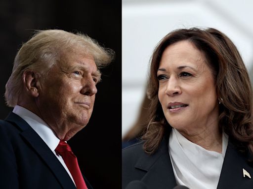 Trump Pitches Debates With Harris in Bid to Reshape Race