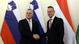 Hungary's foreign minister hints that Budapest will continue blocking EU military aid to Ukraine