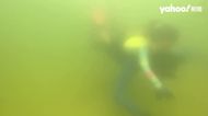 不想讓海龜死掉 巴西4歲女童天天潛水撿海洋垃圾