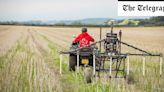 Two ancient Roman villas used for farming discovered on National Trust estate