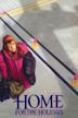 Home for the Holidays (1995 film)