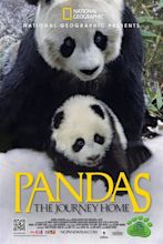 Pandas: The Journey Home (2014) - FilmAffinity