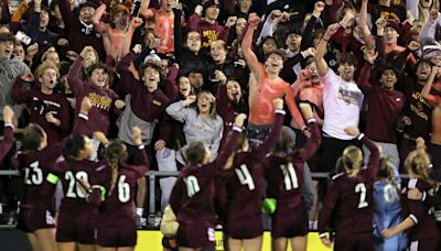 OHSAA announces division move requests for fall, winter and Walsh girls soccer is one