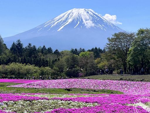 日本富士山登山限制 推薦5大搶手富士山景觀飯店