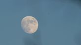 Cold Moon 2022: How to see December's full Moon in the UK