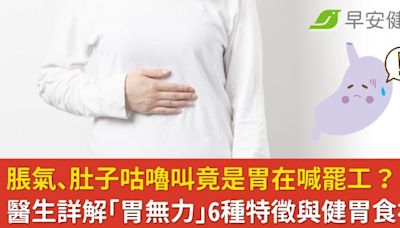 脹氣、肚子咕嚕叫竟是胃在喊罷工？醫生詳解「胃無力」6種特徵與健胃食補！