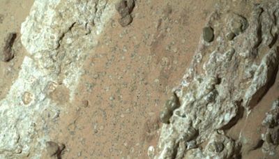 Has Nasa found evidence of ancient life on Mars? An expert examines the latest discovery