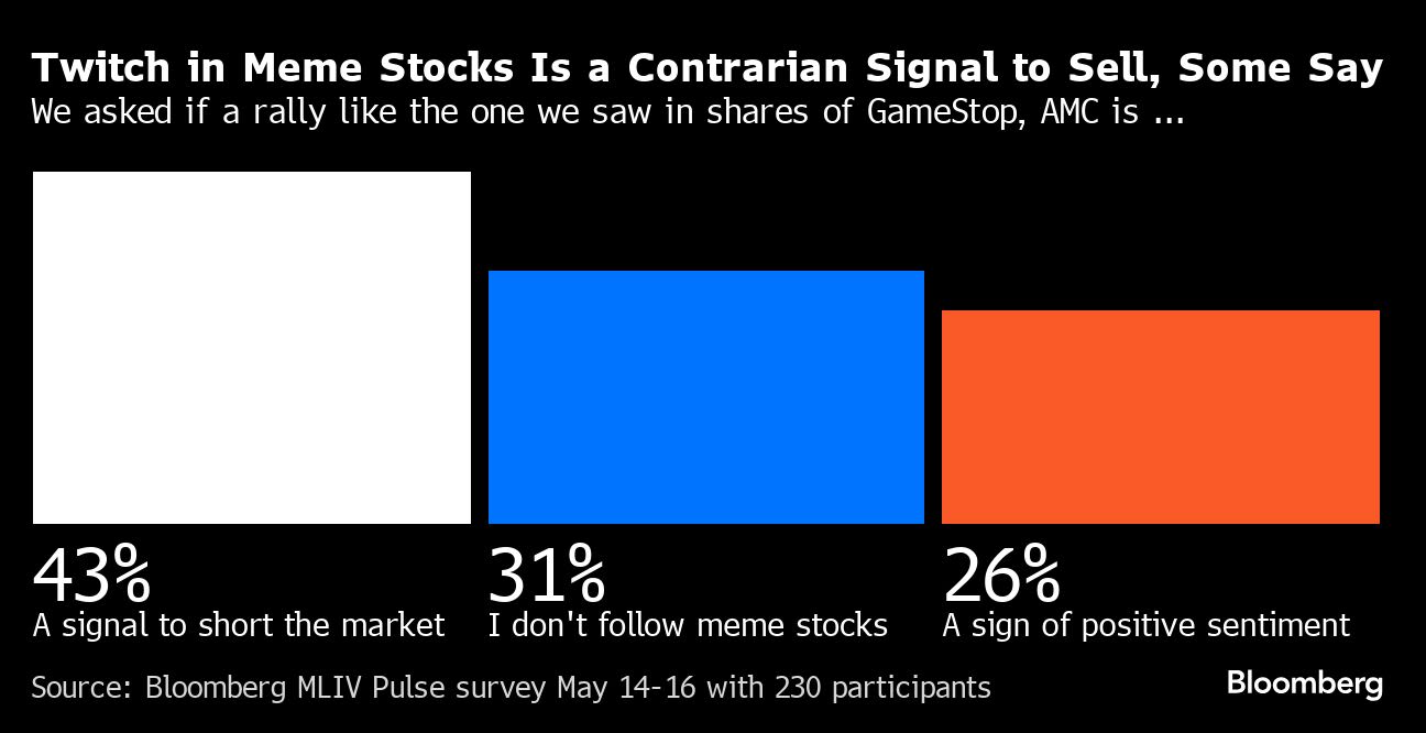 Revival of Meme-Stock Frenzy Points to a Frothy US Stock Market