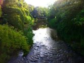 Piedras River (San Juan, Puerto Rico)