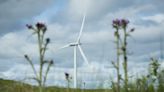 New cap on renewable energy revenue not a windfall tax, says Rees-Mogg