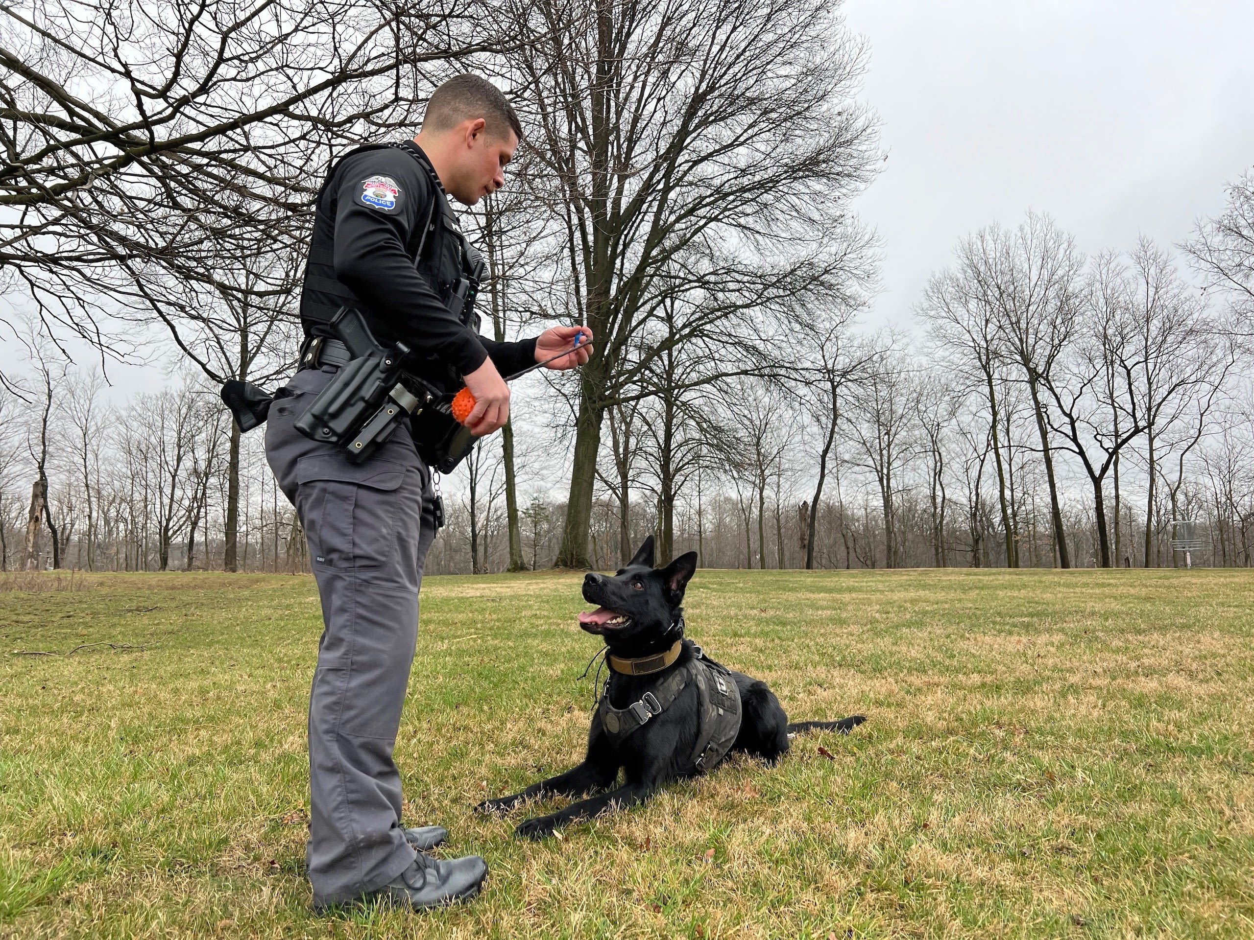 Top Minnesota court nixes sovereign immunity for police dog attacks