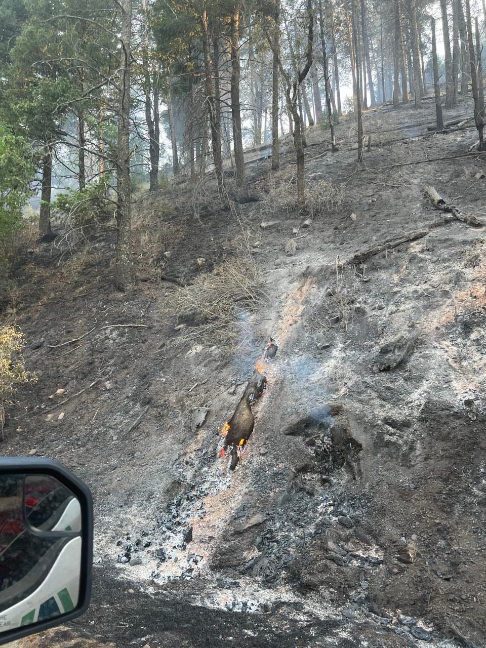 Firefighters gain containment of Blue 2 Fire in Lincoln National Forest