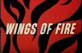 Wings of Fire (film)