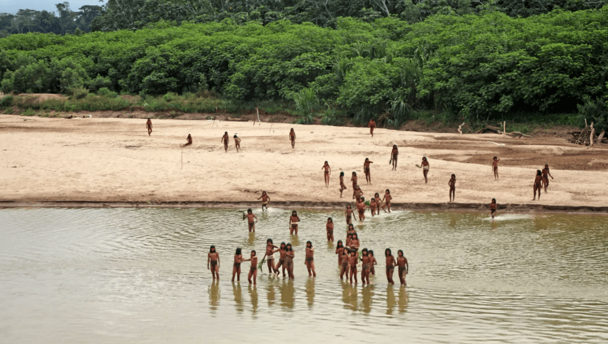 Uncontacted Tribe Attack Intruding Loggers With Arrows In The Peruvian Amazon