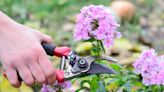 5 ways to get the best out of pruning shears