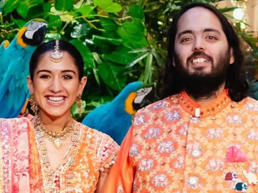 Anant Ambani-Radhika Merchant wedding: A comprehensive timeline of the 7-month long opulent celebrations